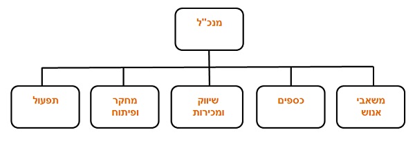 מבנה ארגוני