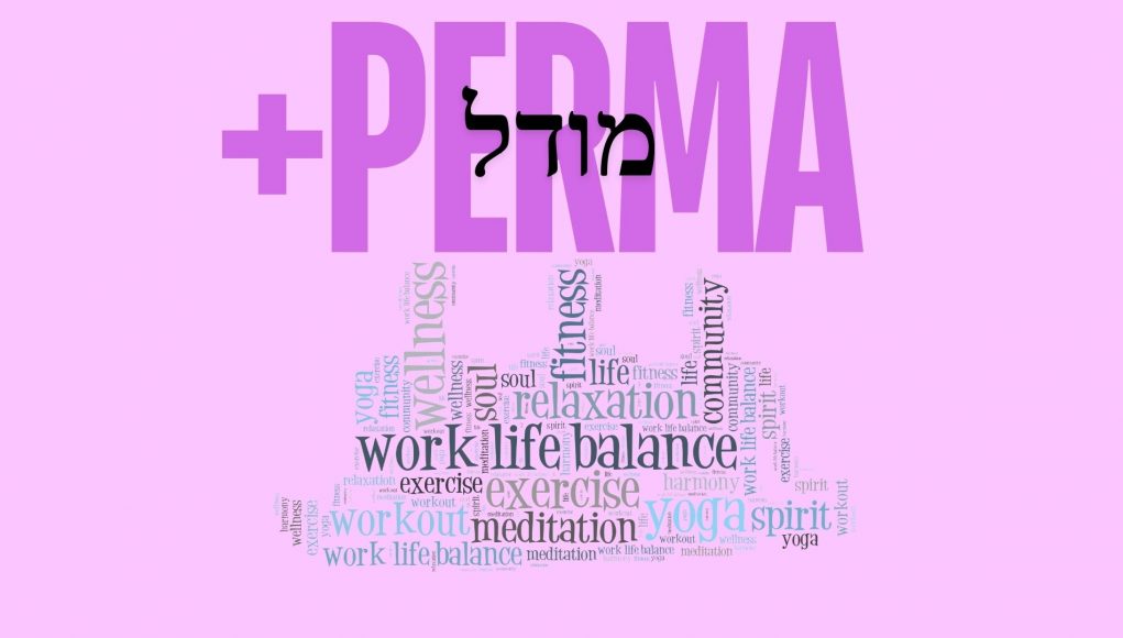 מודל ה- PERMA+